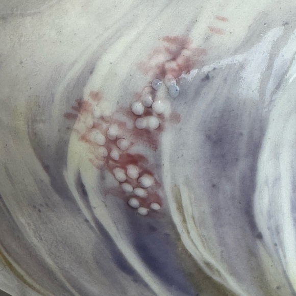 Antique Carl Knoll, Carlsbad, Austria Art Nouveau Porcelain Bowl ca. 1900 - Picture 9 of 15